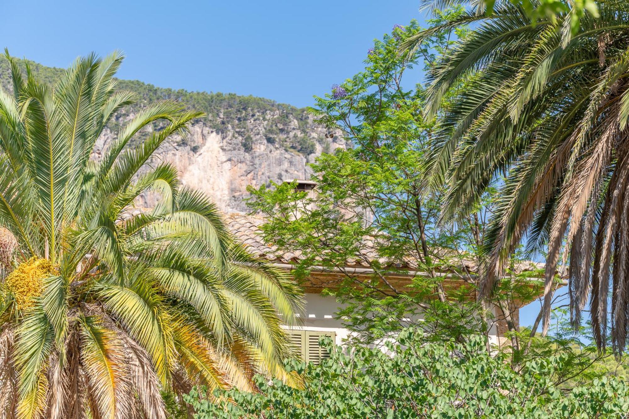 Agroturismo Filicumis By Mhr Lloseta Εξωτερικό φωτογραφία